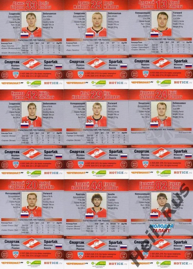 Хоккей. Спартак Москва 27 карточек 2010/11 SeReal КХЛ (Радивоевич, Гашек и др) 5