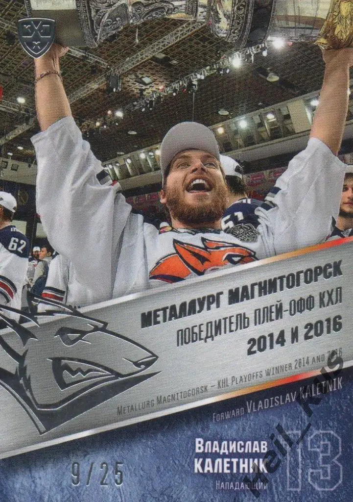 Хоккей. Карточка Владислав Калетник (Металлург Магнитогорск) КХЛ 2016/17 SeReal