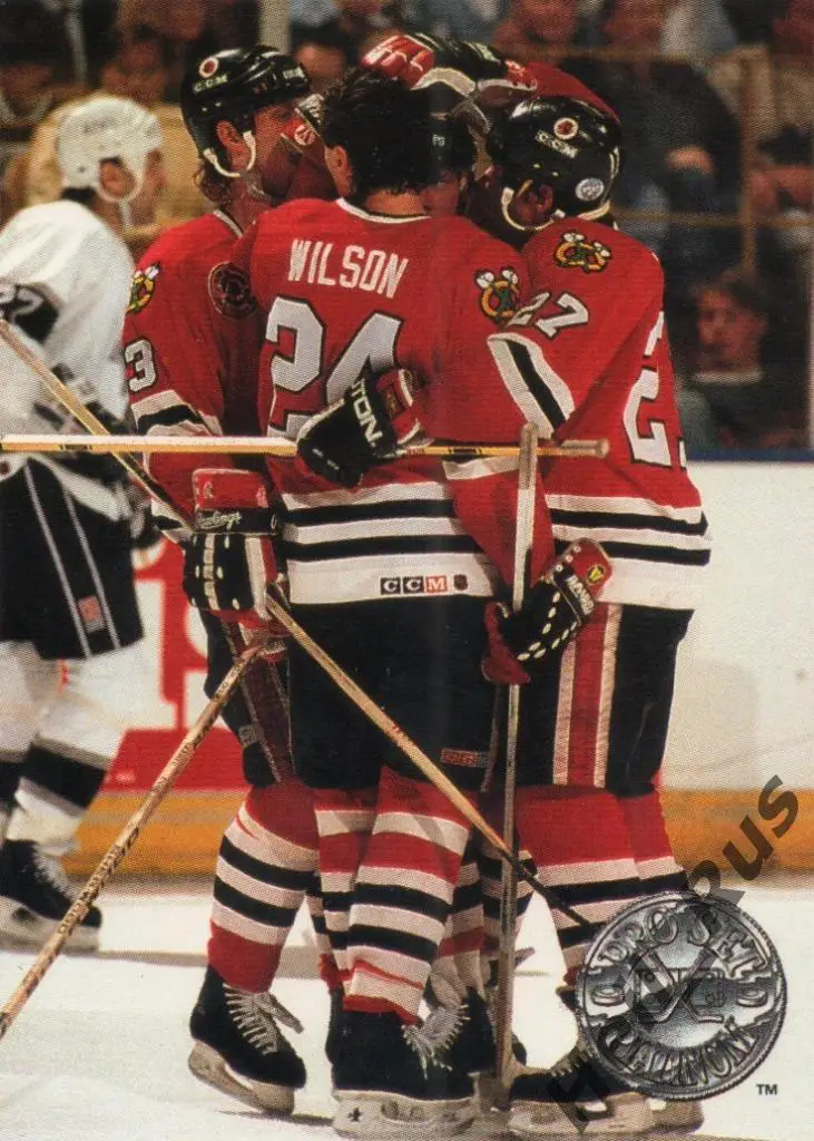 Хоккей. Карточка Chicago Blackhawks/Чикаго Блэкхокс - Division Champions НХЛ/NHL