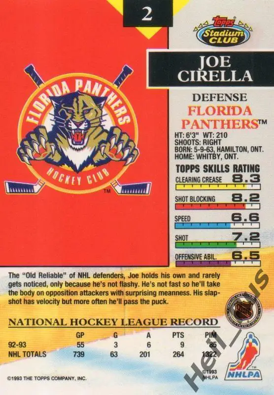 Хоккей Карточка Joe Cirella/Джо Сирелла Florida Panthers/Флорида Пантерз НХЛ/NHL 1