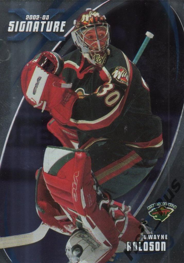 Хоккей. Карточка Dwayne Roloson/Дуэйн Ролосон Minnesota Wild / Миннесота НХЛ/NHL