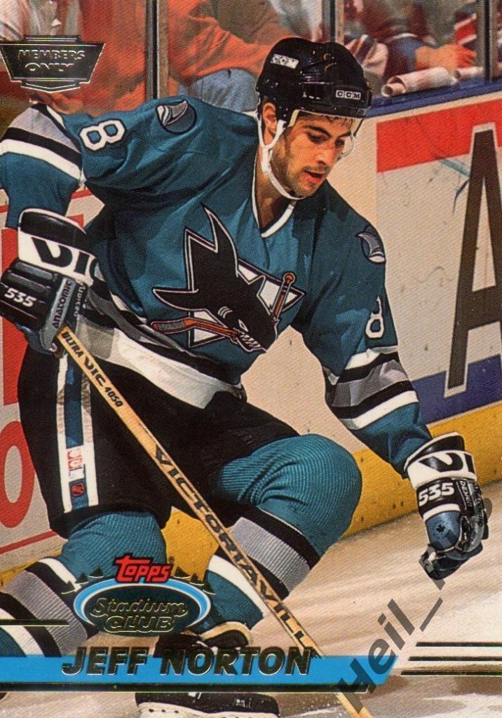 Хоккей. Карточка Jeff Norton/Джефф Нортон San Jose Sharks/Сан-Хосе Шаркс НХЛ/NHL