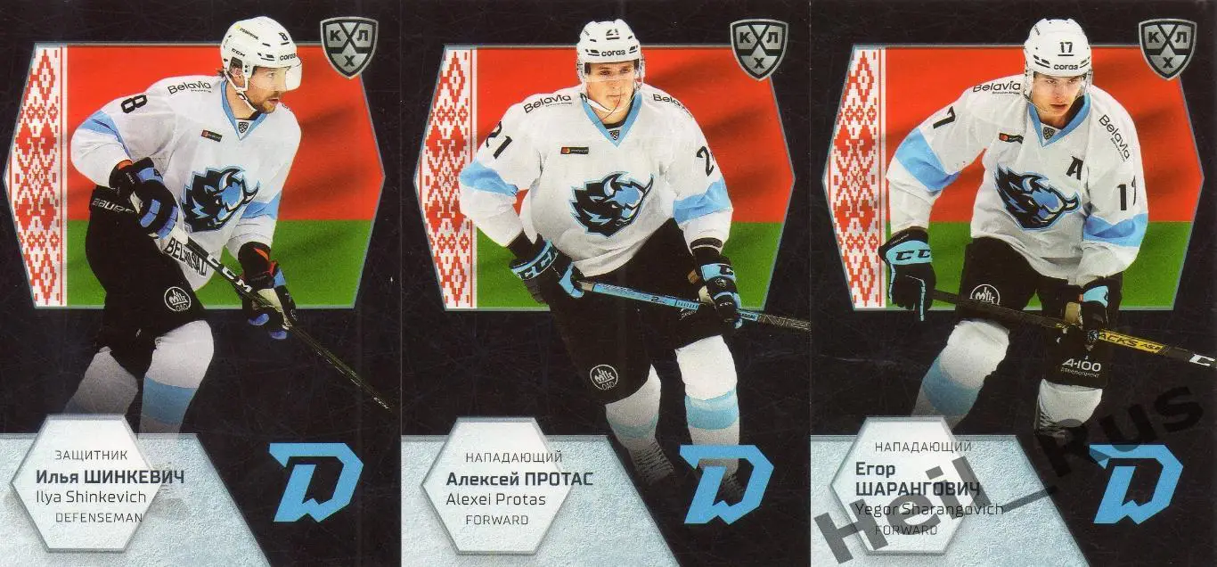 Хоккей. Участники Чемпионата Мира 2021 (полный комплект 66 карточек) КХЛ SeReal 7