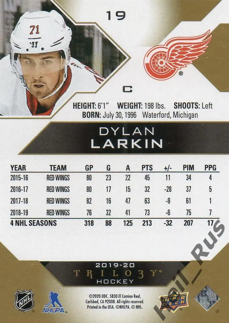 Хоккей. Карточка Dylan Larkin/Дилан Ларкин (Detroit Red Wings/Детройт) НХЛ/NHL 1