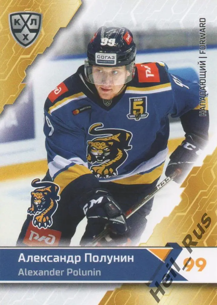 Хоккей. Карточка Александр Полунин (ХК Сочи) КХЛ/KHL сезон 2018/19 SeReal