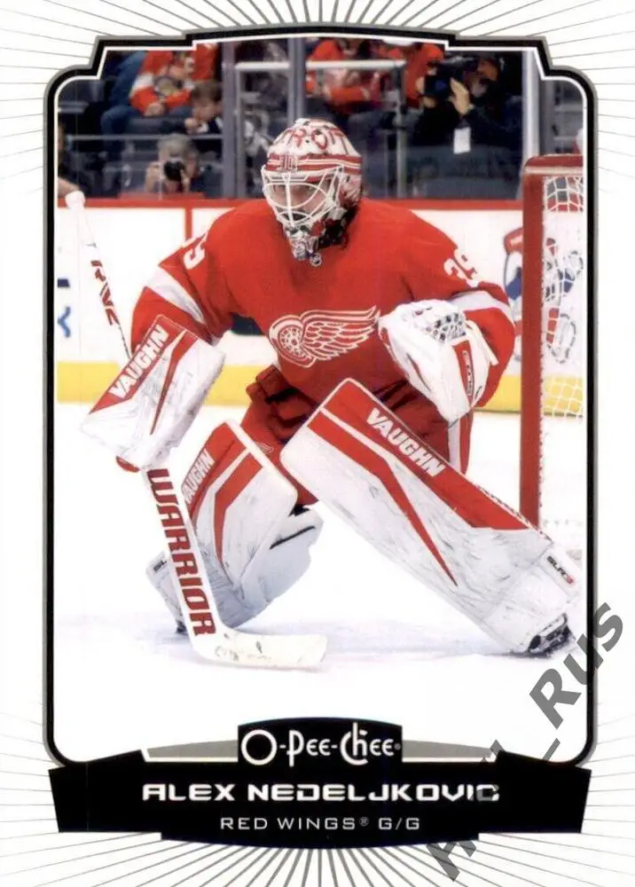 Карточка Alex Nedeljkovic/Алекс Неделькович (Detroit Red Wings/Детройт) НХЛ/NHL