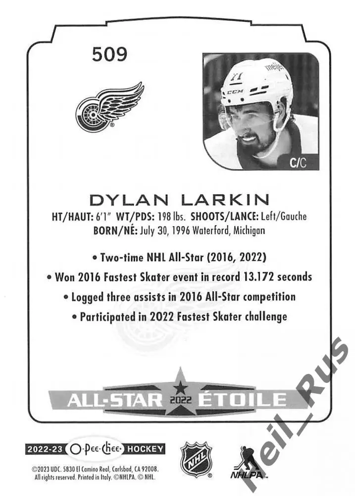 Хоккей; Карточка Dylan Larkin / Дилан Ларкин (Detroit Red Wings/Детройт) НХЛ/NHL 1