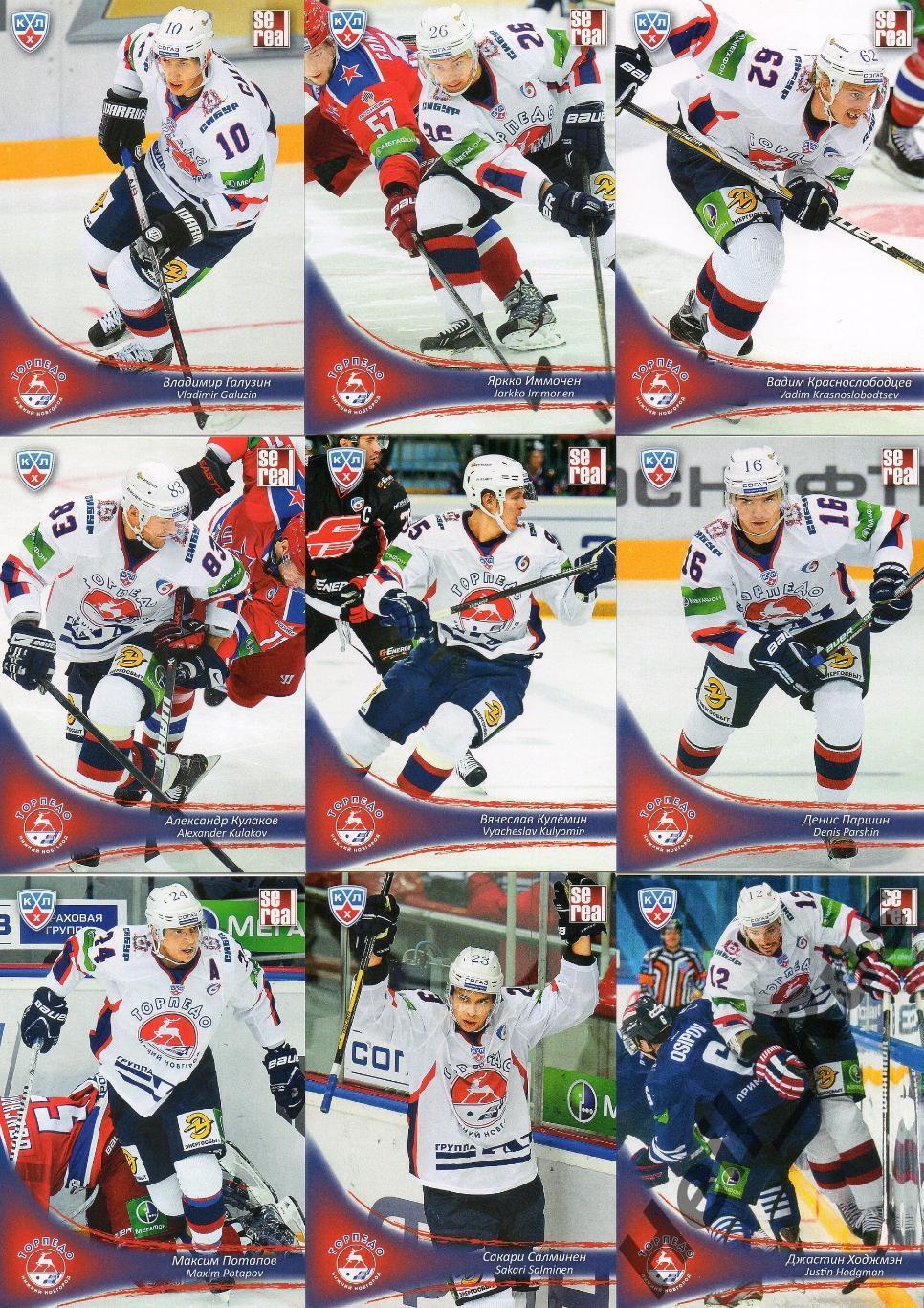 Хоккей. Торпедо Нижний Новгород 18 карточек КХЛ/KHL сезон 2013/14 SeReal Галузин 2