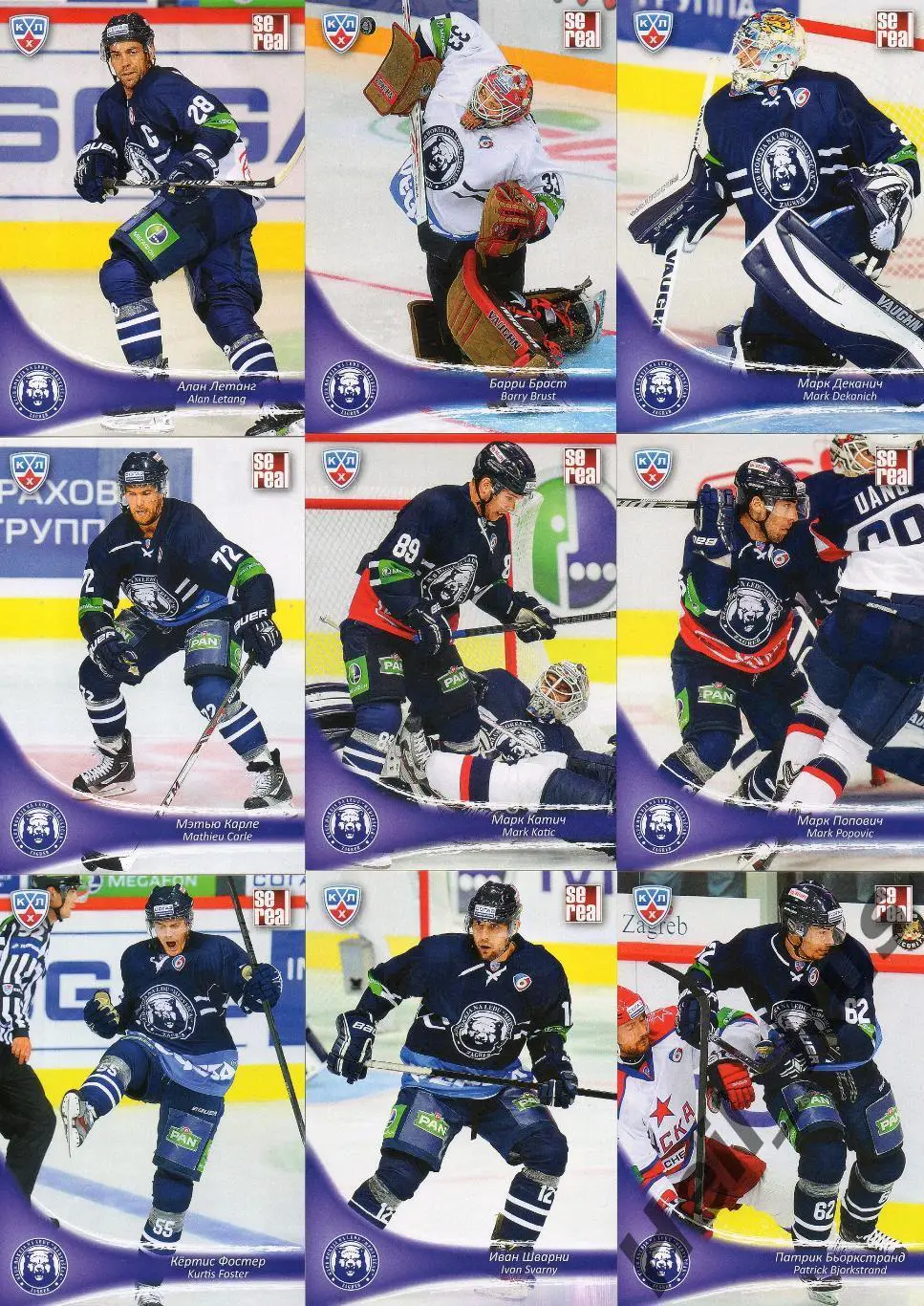 Хоккей. Медвешчак Загреб 18 карточек КХЛ/KHL сезон 2013/14 SeReal Чичу, Эллисон