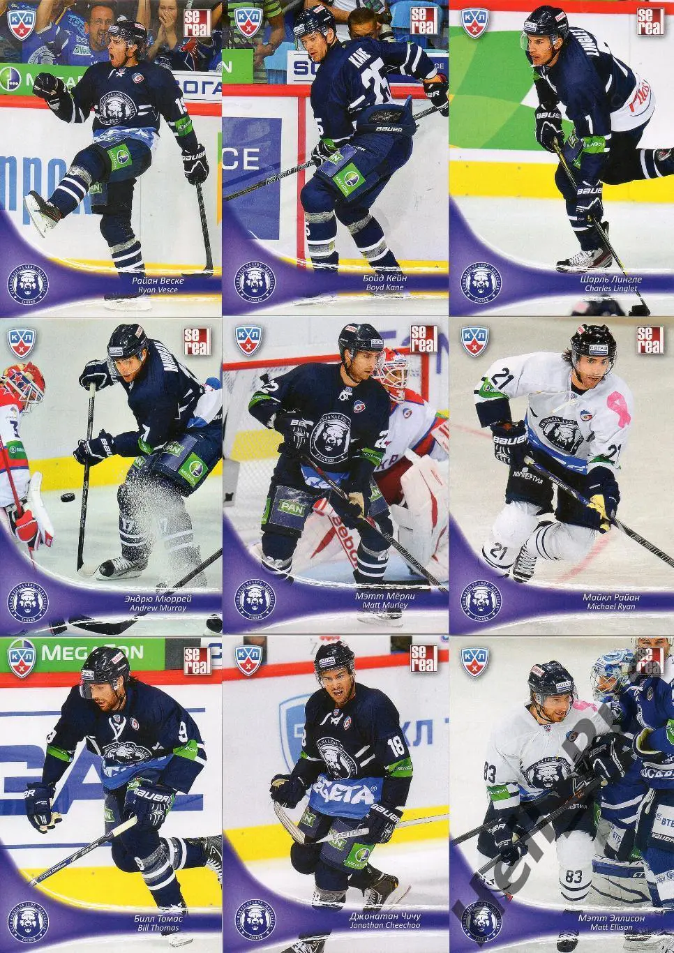 Хоккей. Медвешчак Загреб 18 карточек КХЛ/KHL сезон 2013/14 SeReal Чичу, Эллисон 2
