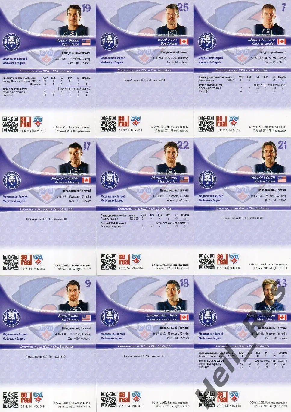 Хоккей. Медвешчак Загреб 18 карточек КХЛ/KHL сезон 2013/14 SeReal Чичу, Эллисон 3