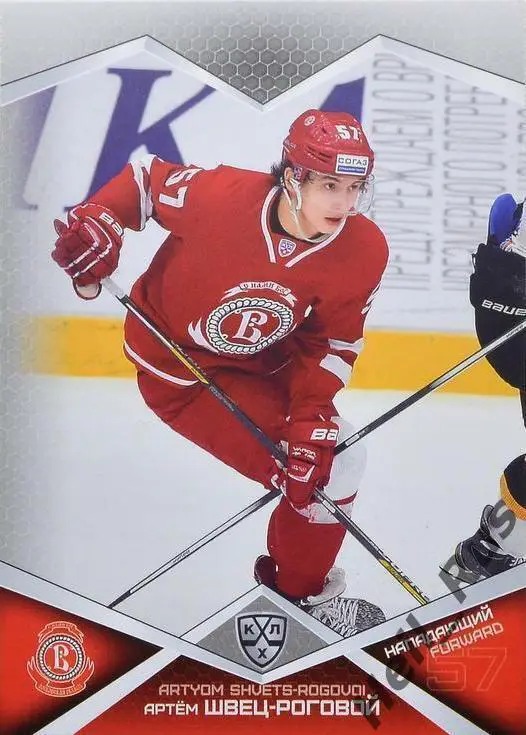 Хоккей. Карточка Артем Швец-Роговой Витязь Московская область КХЛ сезон 2016/17