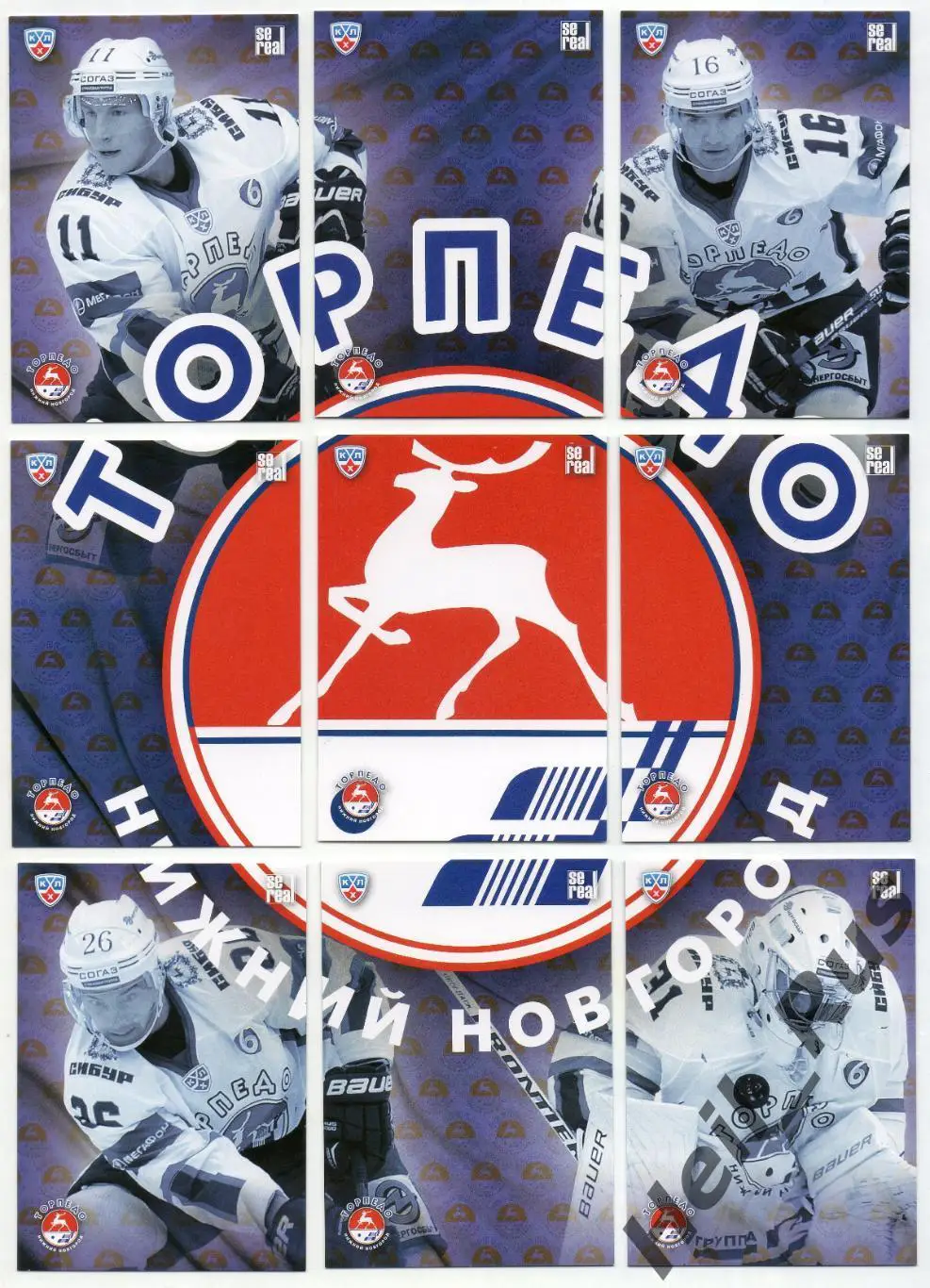 Хоккей. Карточки. Логотип Торпедо Нижний Новгород КХЛ/KHL сезон 2013/14 SeReal