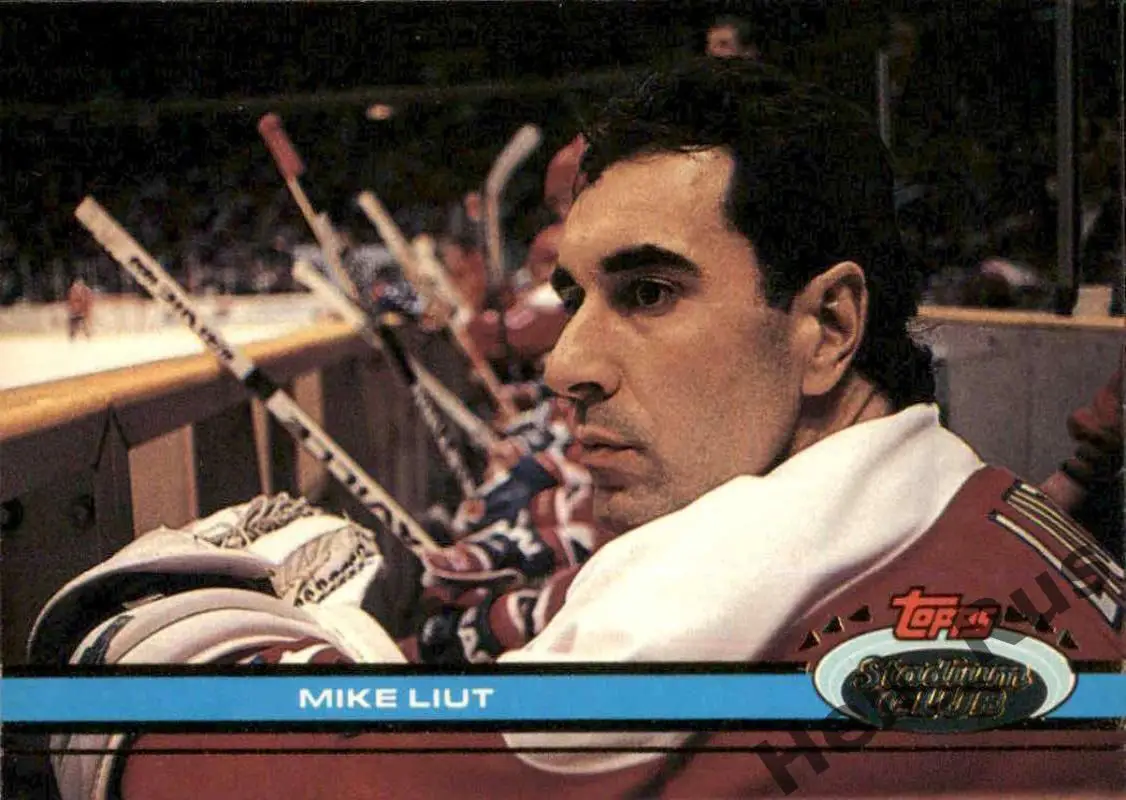 Хоккей. Карточка Mike Liut/Майк Льют (Washington Capitals / Вашингтон) НХЛ/NHL