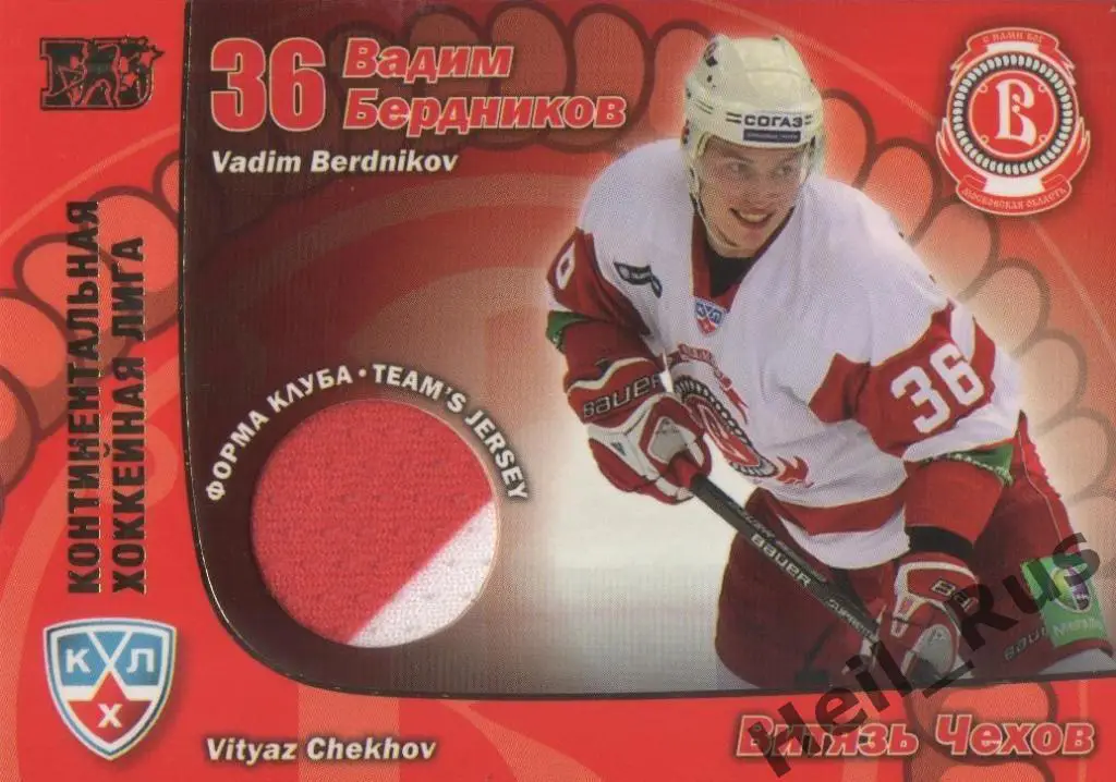 Хоккей. Карточка Вадим Бердников (Витязь Чехов) КХЛ/KHL сезон 2010/11 SeReal