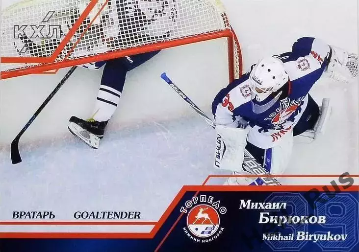 Хоккей. Карточка Михаил Бирюков (Торпедо Нижний Новгород) КХЛ/KHL 2015/16 SeReal
