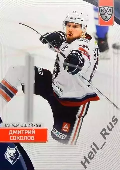 Хоккей. Карточка Дмитрий Соколов Нефтехимик Нижнекамск КХЛ/KHL 2023/24 SeReal