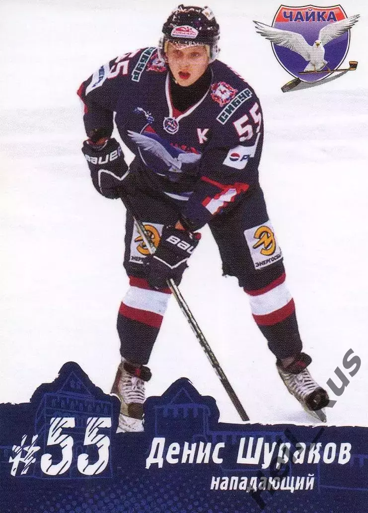 Карточка Денис Шураков (Чайка/Торпедо Нижний Новгород) МХЛ/КХЛ/KHL сезон 2013/14