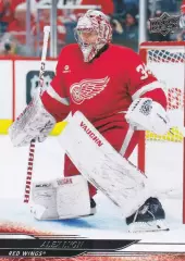 Карточка Alex Lyon/Алекс Лайон (Detroit Red Wings/Детройт Ред Уингз) НХЛ/NHL