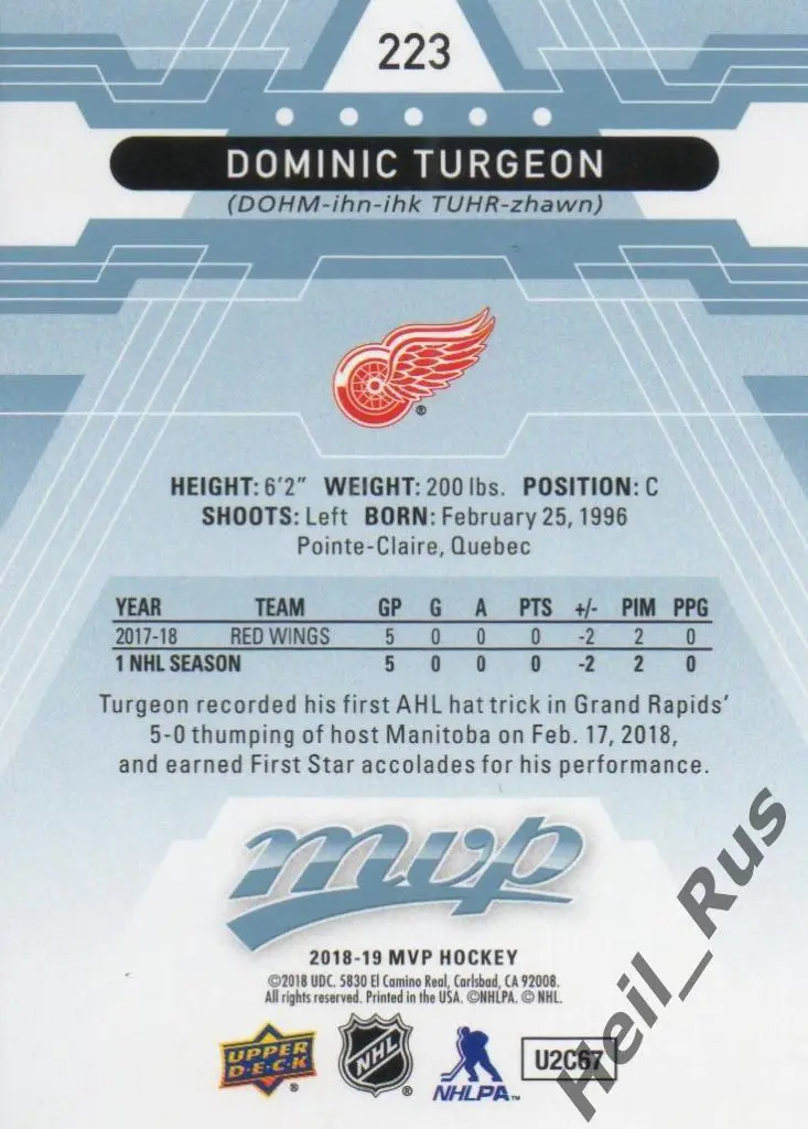 Хоккей. Карточка Dominic Turgeon / Доминик Тарджон (Detroit Red Wings) НХЛ/NHL 1