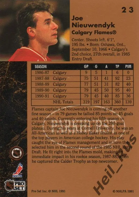 Хоккей; Карточка Joe Nieuwendyk/Джо Ньювендайк (Calgary Flames/Калгари) НХЛ/NHL 1