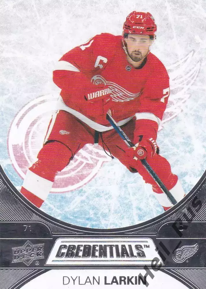 Карточка Dylan Larkin/Дилан Ларкин (Detroit Red Wings/Детройт Ред Уингз) NHL/НХЛ
