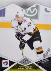 Хоккей. Карточка Войтех Полак Северсталь Череповец КХЛ/KHL сезон 2016/17 SeReal