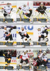 Хоккей. Северсталь Череповец 18 карточек КХЛ/KHL сезон 2015/16 SeReal Бучневич