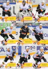 Хоккей. Северсталь Череповец 18 карточек КХЛ сезона 2012/13 Кошечкин, Шипачев +