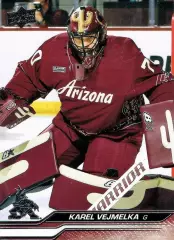 Карточка Karel Vejmelka/Карел Веймелка (Arizona Coyotes/Аризона Койотис) НХЛ/NHL