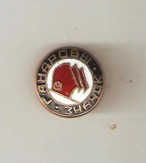 ДСО Красное Знамя БелССР - почётный значок ( горячая эмаль ,старый)