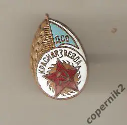 ДСО Красная звезда ( горячая эмаль , очень старый, винт)