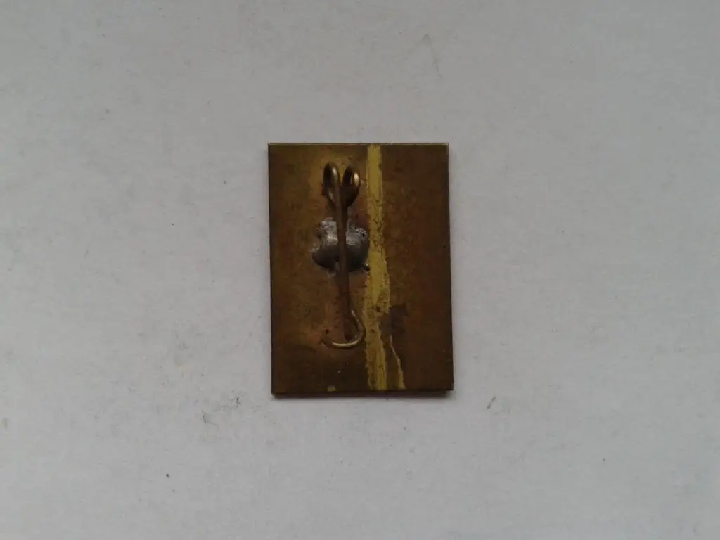 Лыжный спорт Ворохта 1