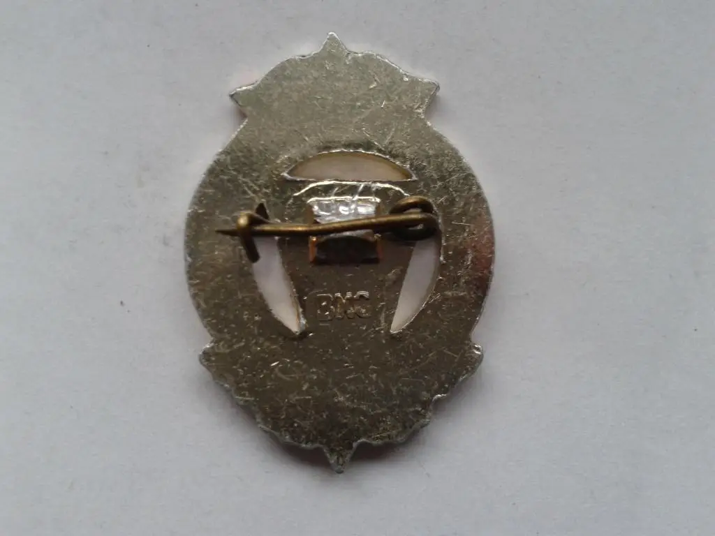 Значёк Юный активист спорта 1