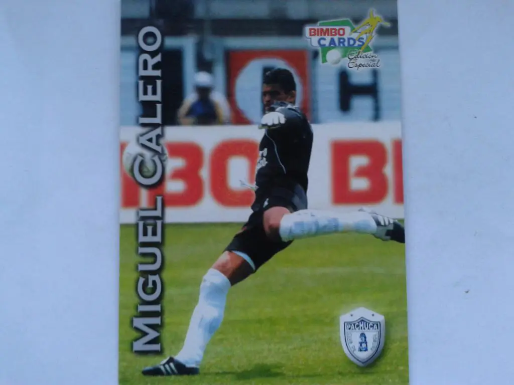 Мигель Калеро-карточка