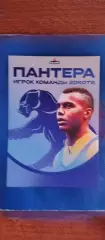 ПАНТЕРА Игрок команды 2 DROTS.