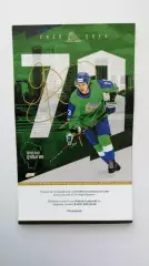 Хоккей Салават Юлаев Металлург 13. 02.26 Цулыгин