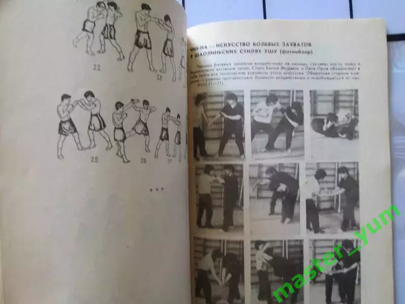 Боевое искусство планеты. Оригинал. 2