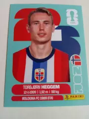 Torbjorn heggem . Чемпионат мира 2026 .