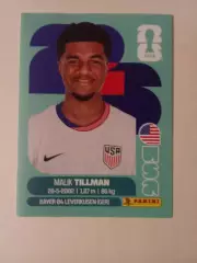 Malik Tillman . Чемпионат мира 2026 .