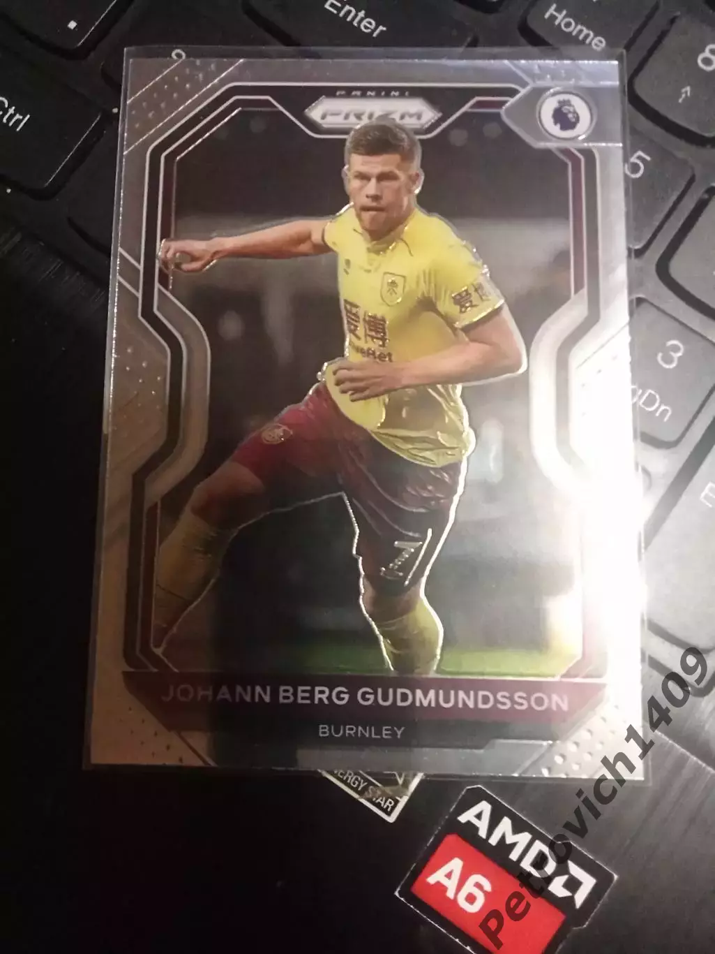 Panini Chronicles soccer Johann Berg Gudmundsson