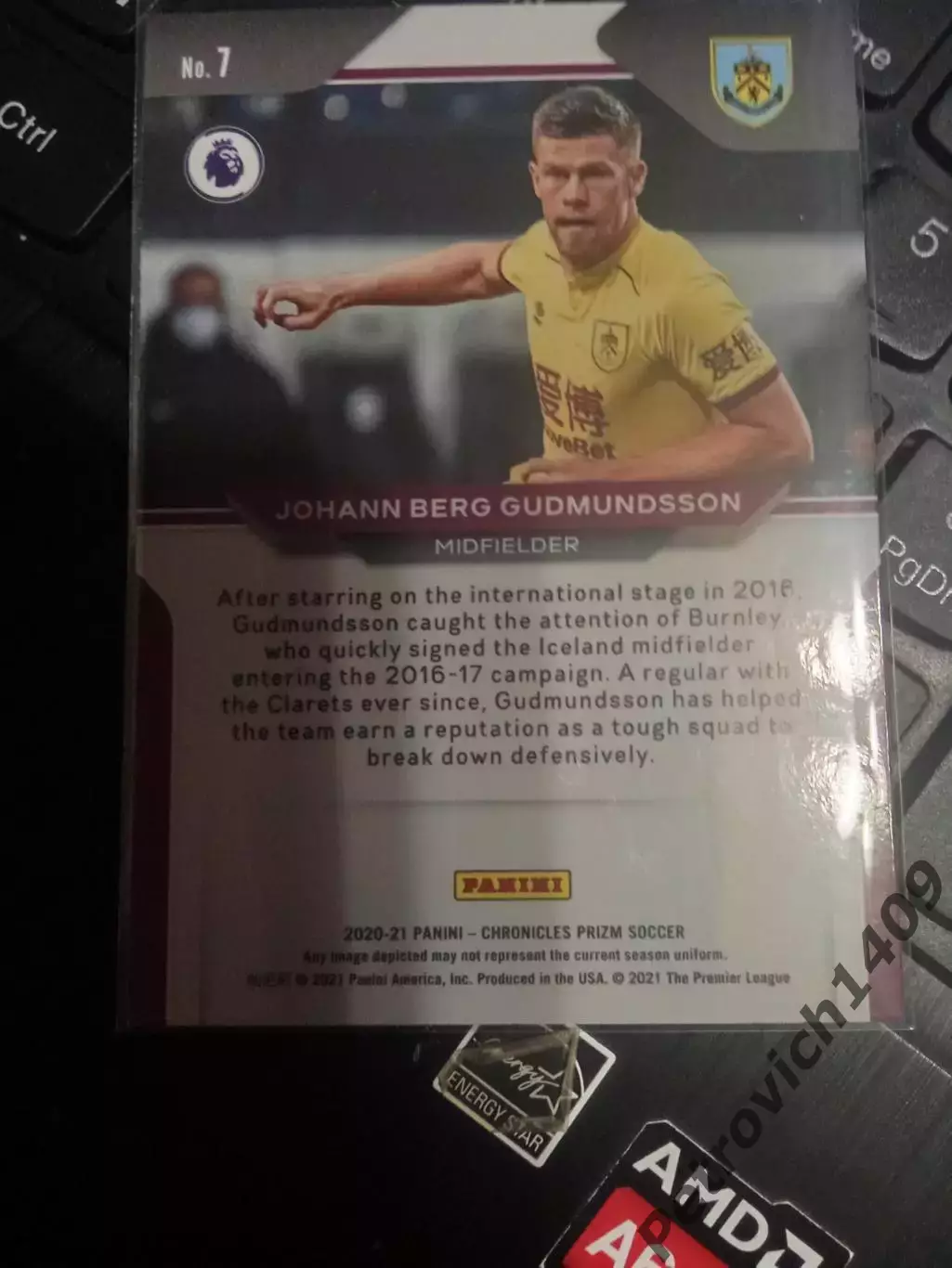 Panini Chronicles soccer Johann Berg Gudmundsson 1