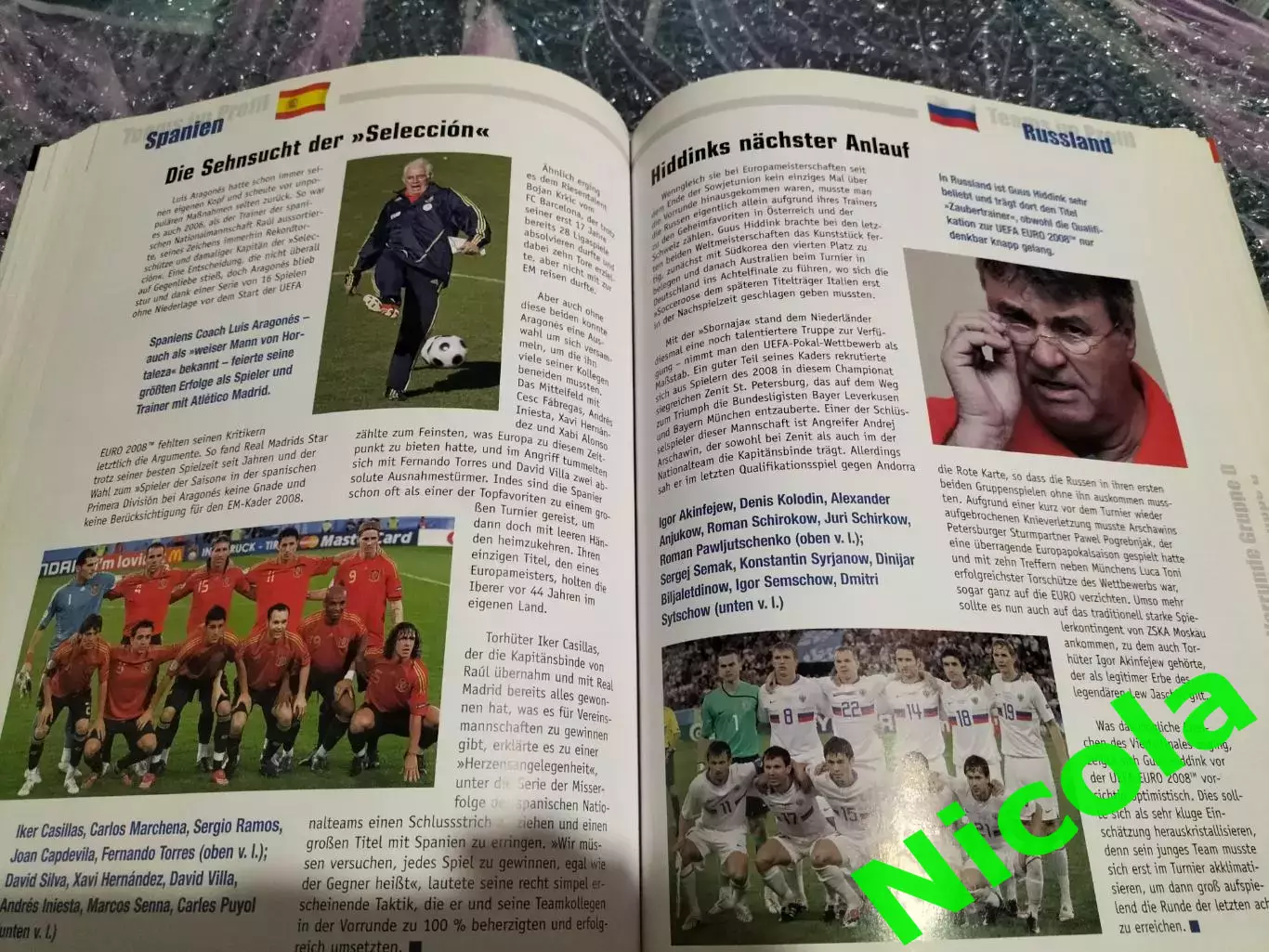 Фотоальбом.Чемпионат Европы-2008 года. 2