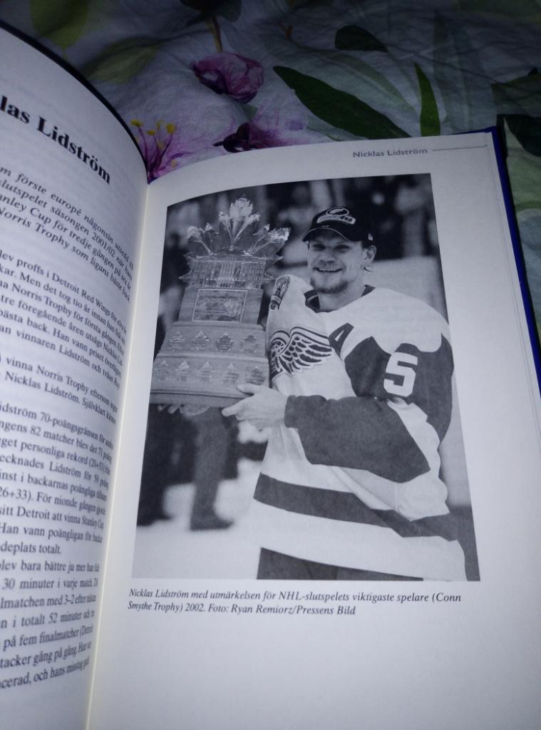 Книга Шведский хоккей, издана 2002 год. 7