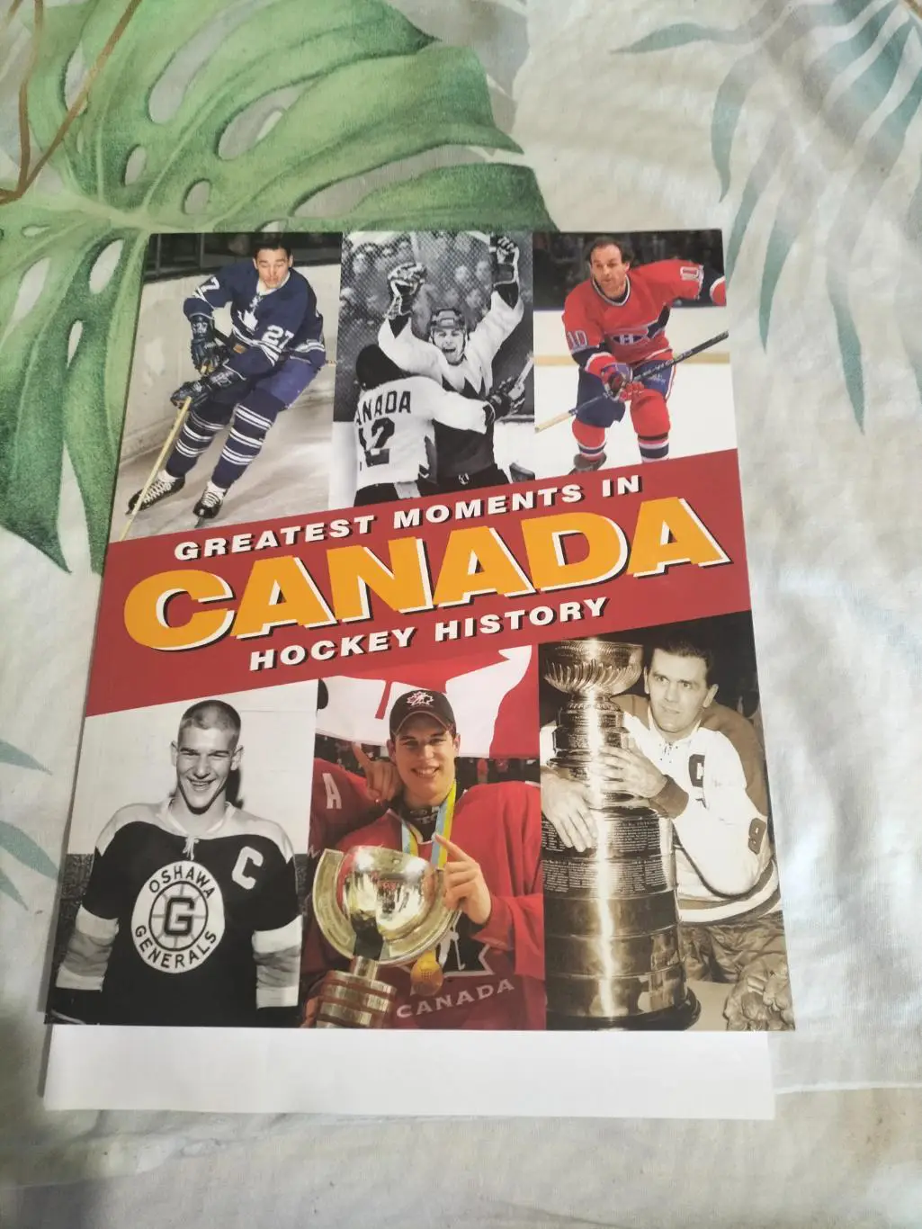 Лучшие моменты в Канаде -хоккейные истории.