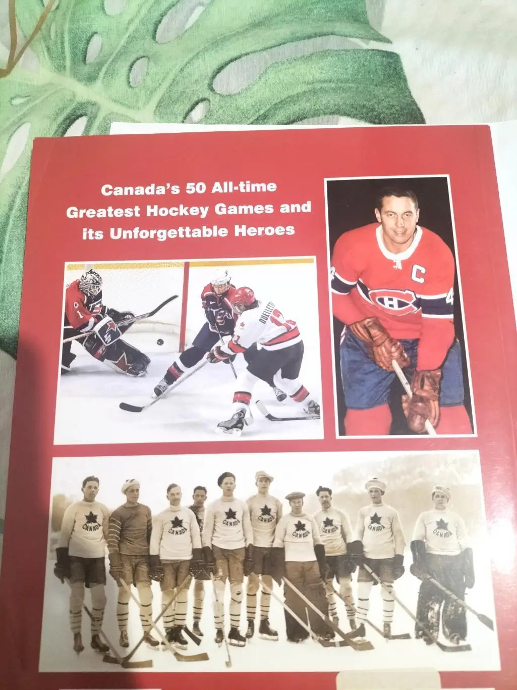 Лучшие моменты в Канаде -хоккейные истории. 2