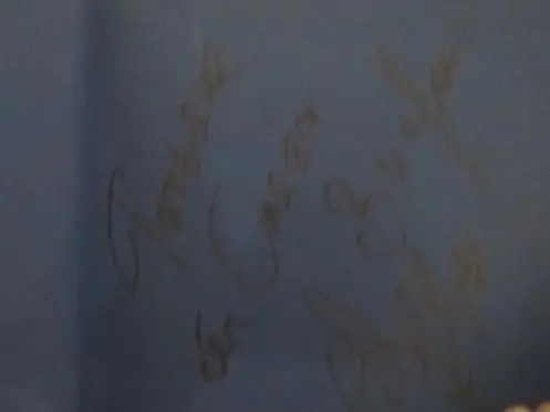 Фотоальбом ХК Динамо, Москва сезон 2013/14 года. 2