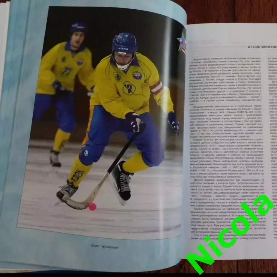 Хоккей с мячом.Шикарная энциклопедия. 2
