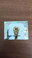 Panini Чемпіонат світу 2026. FWC #1