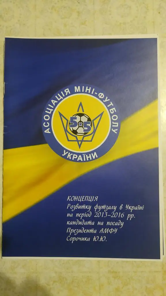Концепция развития футзала в Украина 2013-2016